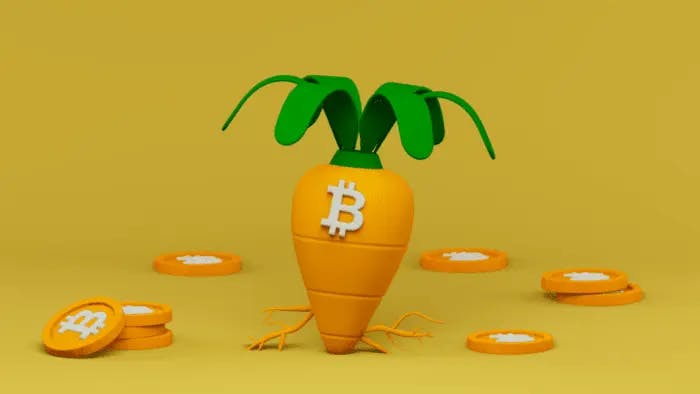What Is Bitcoin's Taproot Upgrade and How It Enhances Crypto Transactions?