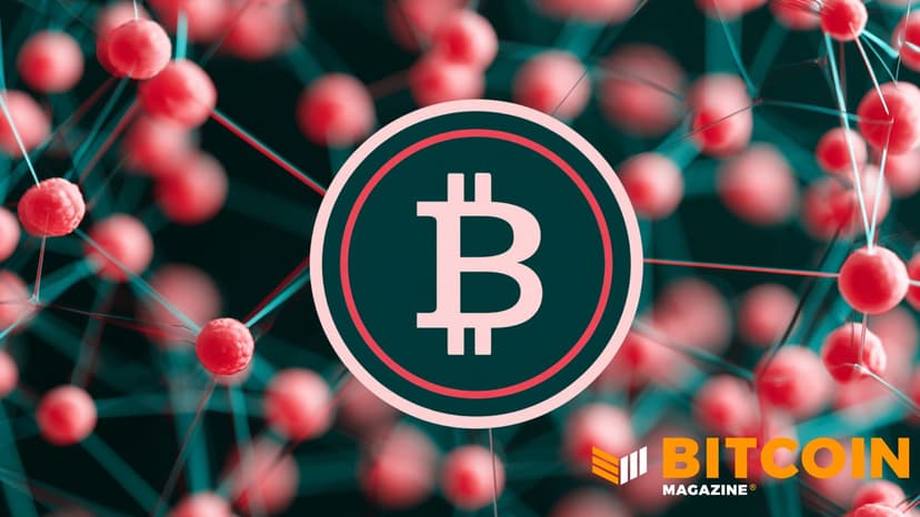 Second Launches Bark On Bitcoin Mainnet, Targeting Self-Custody UX Gap
