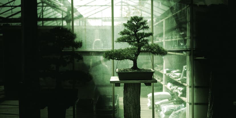Meet Bonsai: The First 27B AI Model That Fits on Your Phone - Decrypt