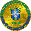 Brazil National Football Team Fan Token