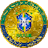 Brazil National Football Team Fan Token logo