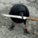 crow with knife