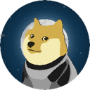 DOGE-1