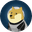 DOGE1 logo