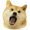 Doge Eat Doge