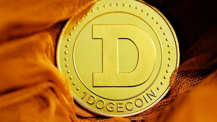 Altcoins on the Rise: Where Does Dogecoin Fit in the Market?