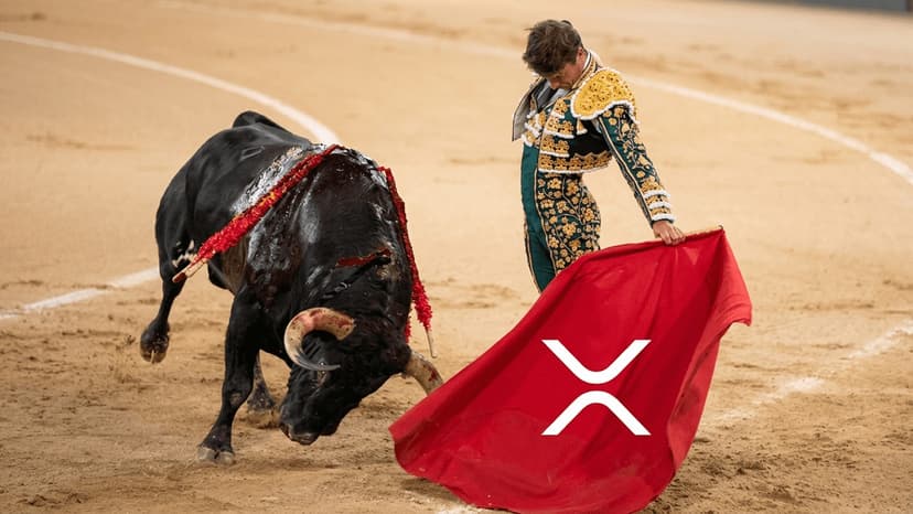 XRP Price Prediction: Bull Flag Forming as Bull Run Style Rally Coils