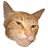 Giga Cat logo