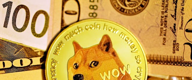 Dogecoin Traders Shift to Short Positions as Meme Coin Frenzy Fades
