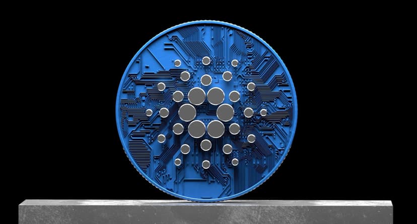 Hoskinson Denies Cardano Exit Rumors: Full Story