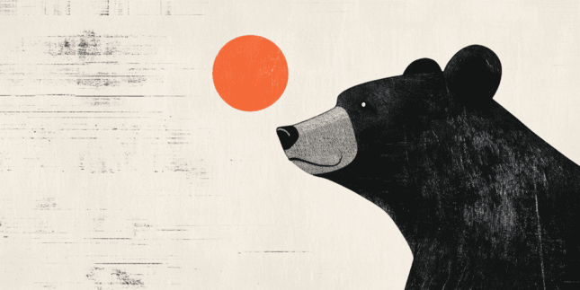 Dogecoin, Shiba Inu y Pepe en caída libre, reflejando la caída del Bitcoin | FXStreet