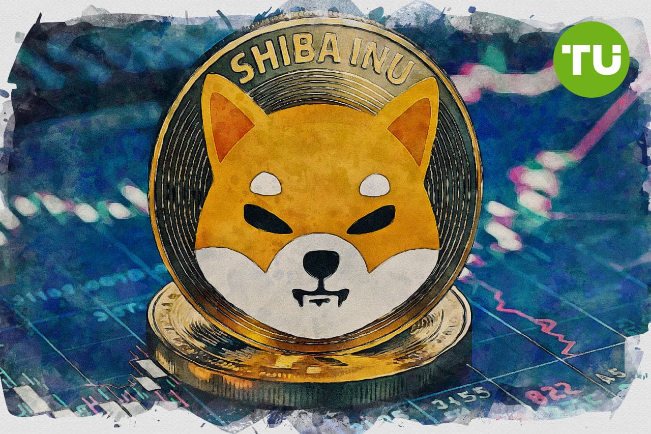 Shiba Inu: Słabe sygnały trendu i wyprzedane oscylatory prowadzą do dalszych strat