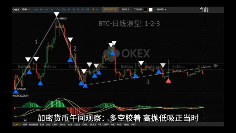 加密货币市场走势分化，投资策略需灵活调整