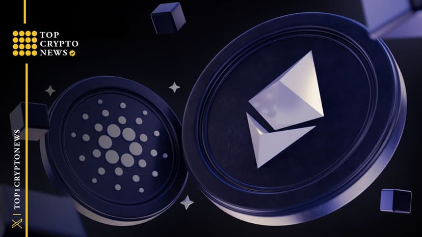 رؤى TopCryptoNews(@TopCryptoNews)