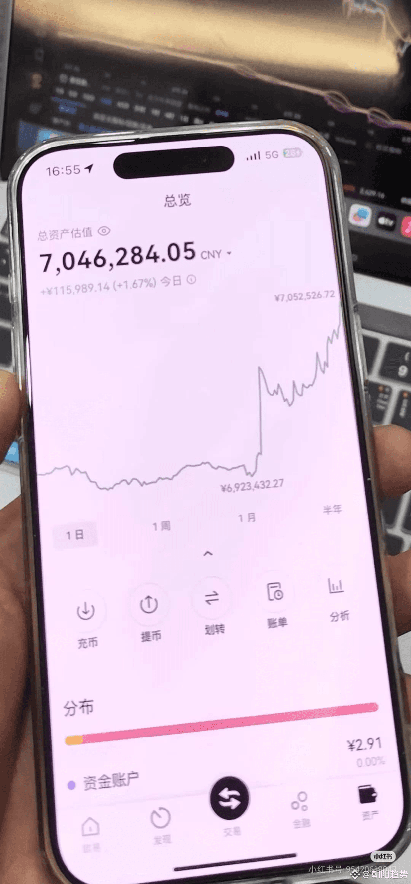 Trading Turbulence: Luna's Wild Ride