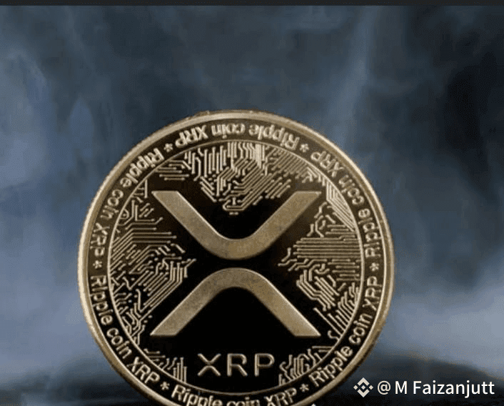 投资XRP的风险与机遇解析