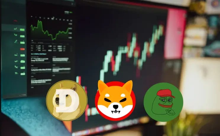Meme Coin Market in Free Fall: Dogecoin Reaches Highest Price Since November 2022 Amidst Broader Sell-Off