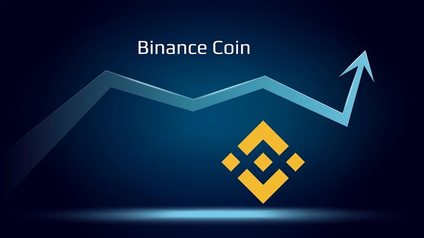 Binance Coin (BNB) Poised for Breakout as Bullish Momentum Builds Amid Market Uncertainty