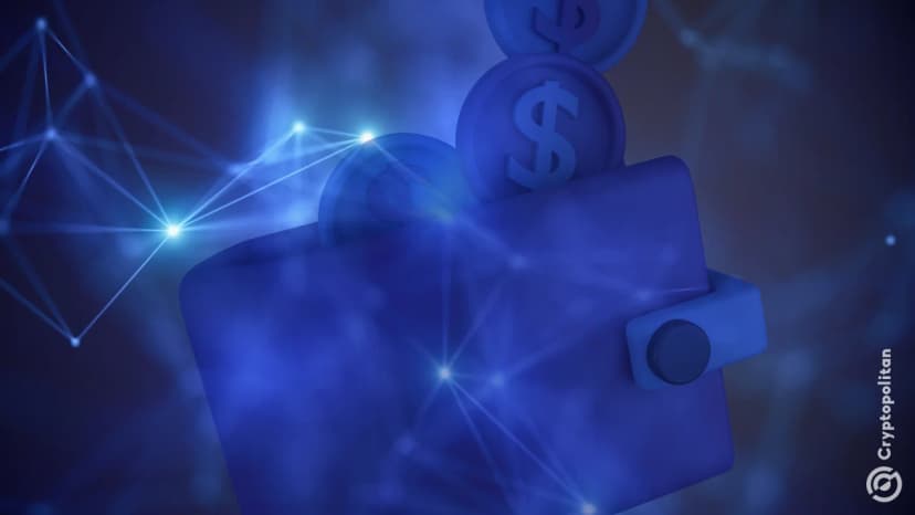 Знакомство с кошельками для стейблкоинов: USDT, USDC и другие