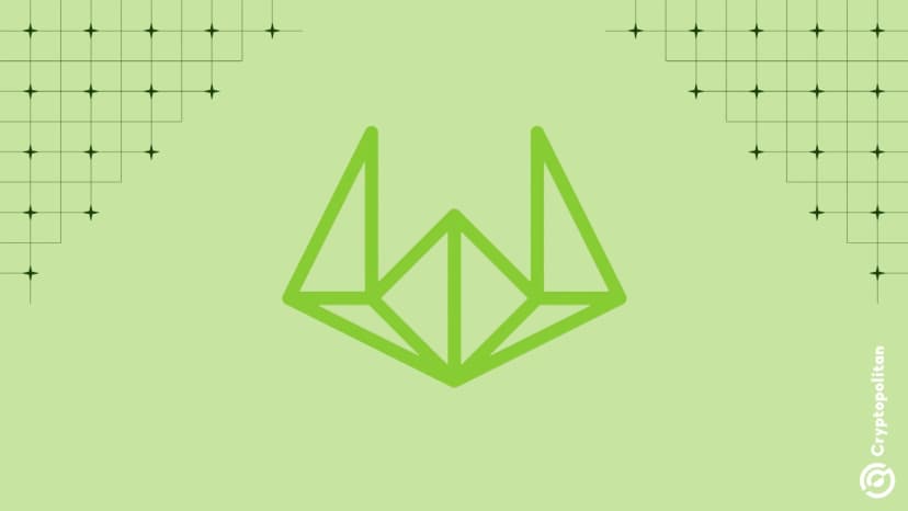 Wintermute afferma che il dominio di BTC aumenta mentre la volatilità persiste e le altcoin sono in ritardo