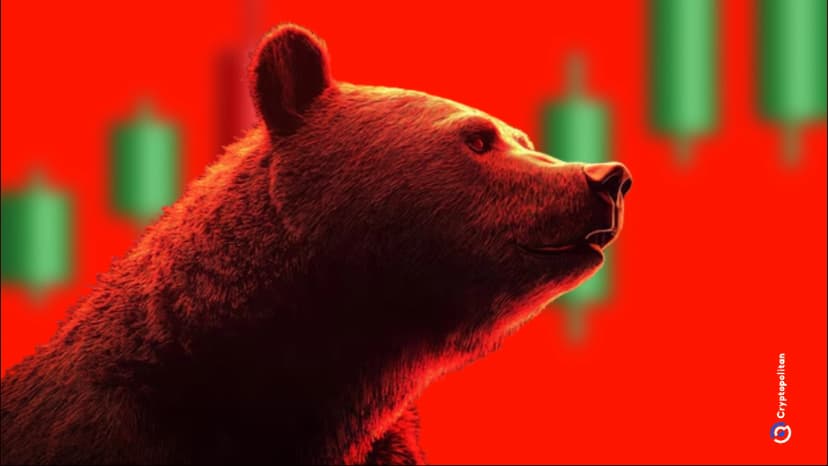 Bitcoin , 7만 5천 달러까지 폭락하며 역사상 10번째로 큰 하루 매도세 기록 - Cryptopolitan