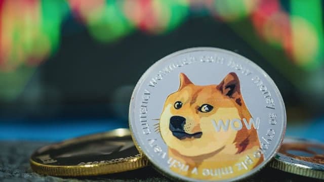 ¿La próxima Dogecoin está por llegar?