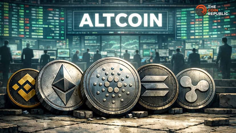 Bildet sich eine Altcoin-Saison? Experte prognostiziert einen Makro-Tiefpunkt für Altcoins im Q1 2026