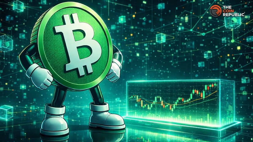 Bitcoin Cash Preis findet Unterstützung, da Händler einen 15%igen Anstieg erwarten