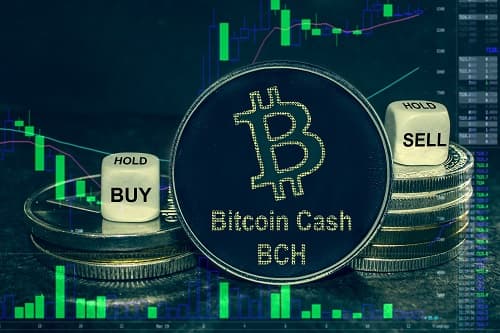 Bitcoin Cash holds near $500 despite broader crypto market slump: check 2026 outlook - CoinJournal