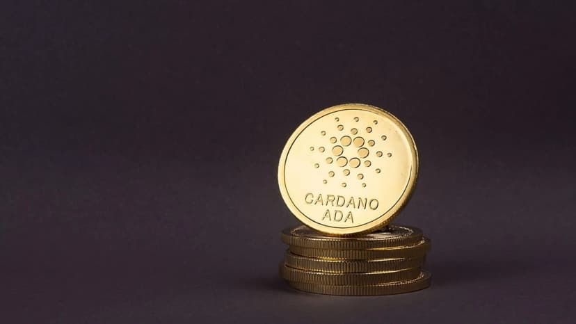 ADA Price Up 11%: Why is Cardano Pumping As DEX Activity Falls?