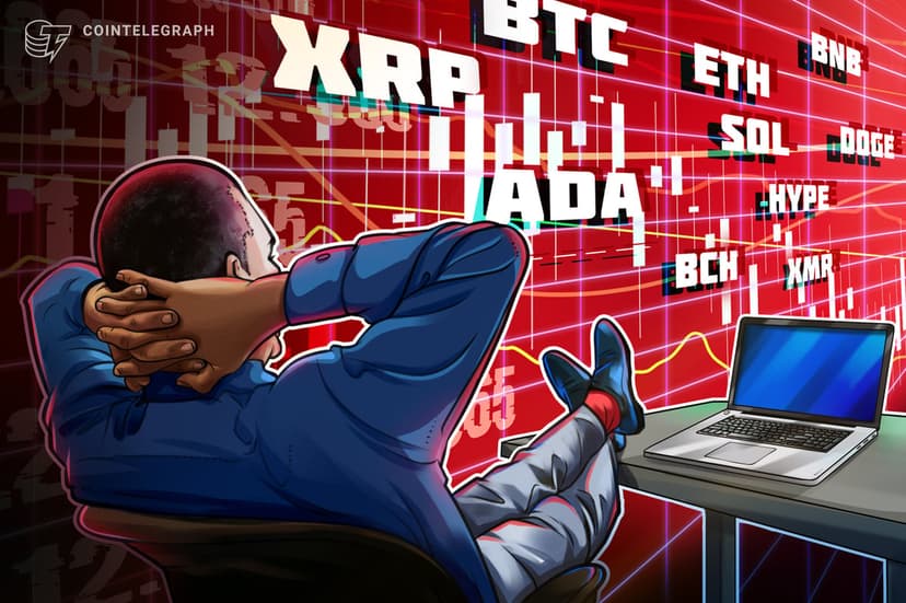 Bitcoin, Altcoins Rally: Is It A Dead Cat Bounce?