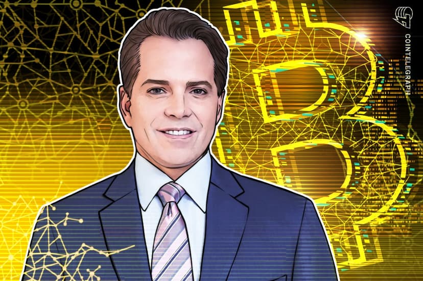 Scaramucci: Current Bitcoin Price Correction Is 'Garden Variety'
