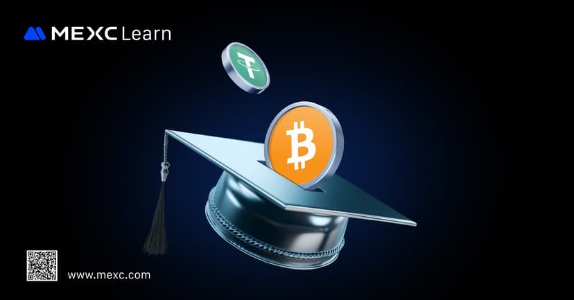 What is TON Coin? The Complete Guide to The Open Network Features, Tokenomics & Future