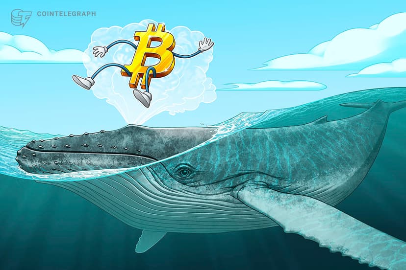 600 BTC Mined in 2010 Moves After 16 Years of Dormancy