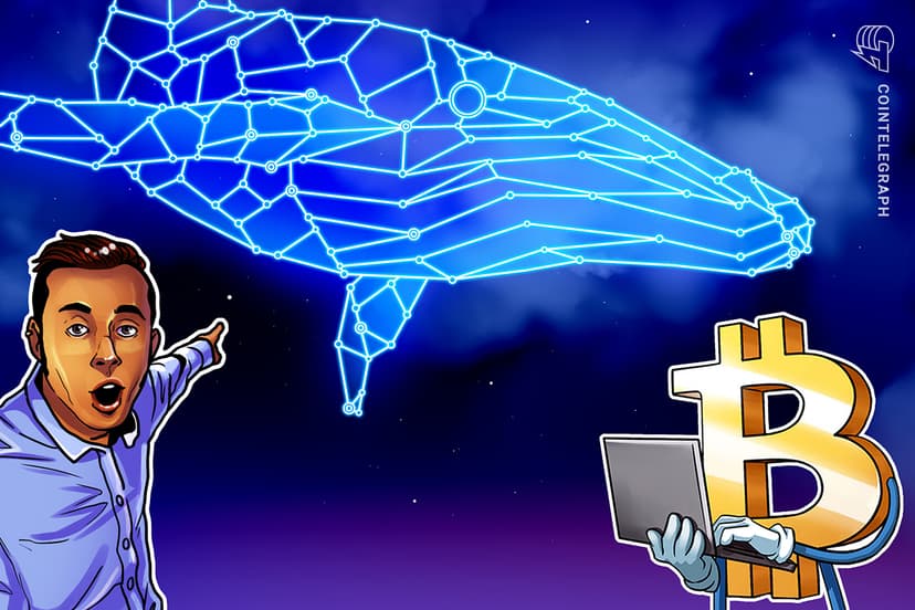 Bitcoin Short-Term Holder Whales Sit on Record $9 Billion Unrealized Gains