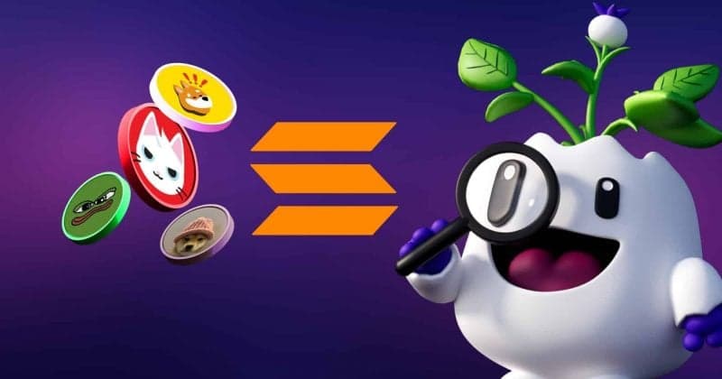 Solana Foundation president calls meme coins a production test net