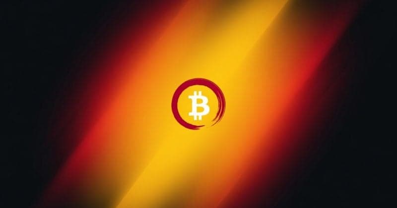 Bitcoin Japan buys stake in Elon Musk's SpaceX via secondary market
