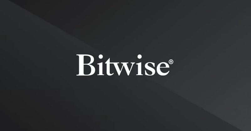 Bitwise CIO says crypto is becoming a contrarian bet as AI stocks dominate markets
