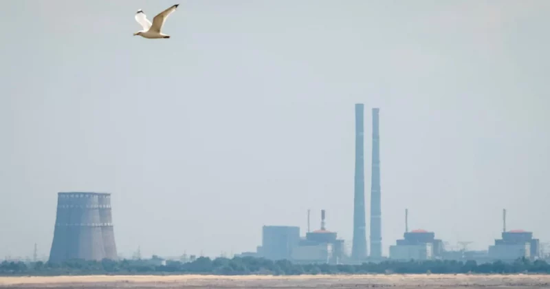 IAEA brokers local ceasefire for repairs at Zaporizhzhia nuclear plant