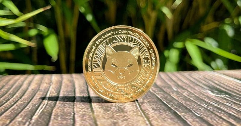 Shiba Inu surges 36% as South Korean traders fuel rally