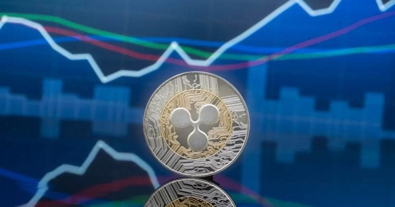 XRP whale transactions surge 280% in 24 hours