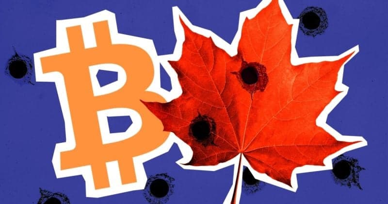 Maple Finance ranks as second-largest crypto lender behind Tether