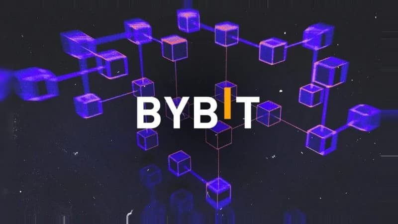 Bybit CEO says crypto retail participation may have fallen 30%