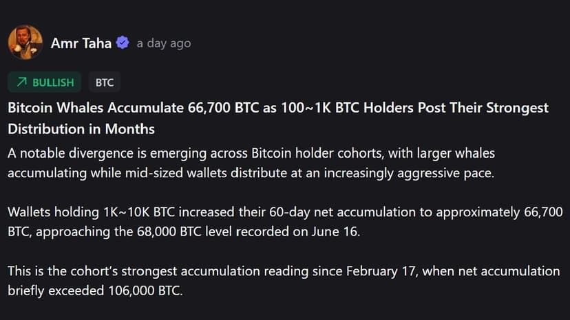 Whales vs. Mid-Tier Holders: The Dramatic Shift in Bitcoin Ownership Splitting the Market