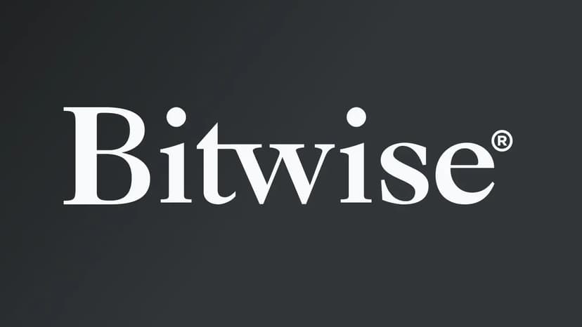 Bitwise CIO Sees Crypto Bull Case Strengthening on 5 Key Shifts