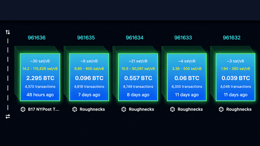Replay Attack Alarm Grows as BIP-110 Backers Brand Bitcoin 'Spamcoin'