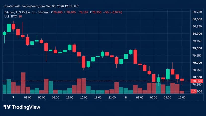 Bitcoin Price Loses Steam as Bears Circle Critical $78K Floor