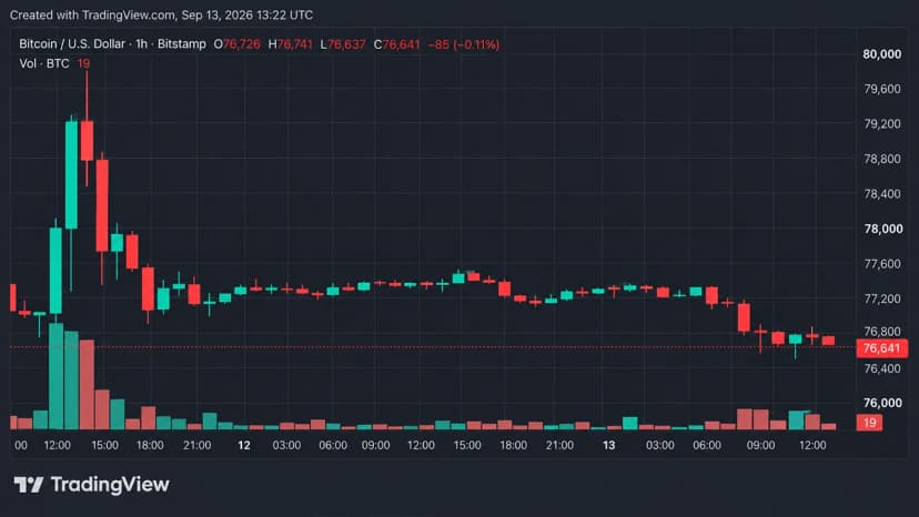 Bitcoin's Price Looks Shaky at $76K, but the Trend Says Otherwise