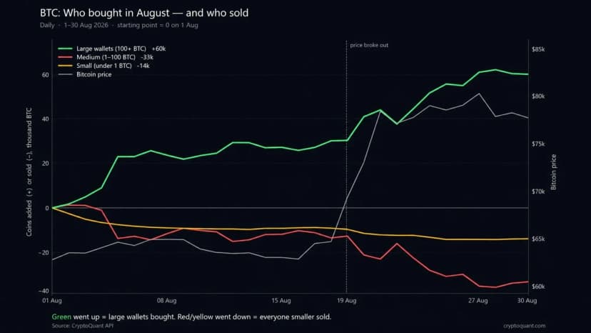 Cryptoquant: Bitcoin Price Rally Hid a 60,000 BTC Whale Buying Spree
