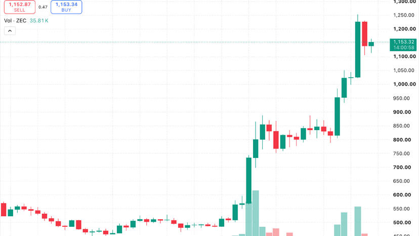 Zcash Surges 2,496% as Privacy Sector Leaves Crypto Rivals Behind